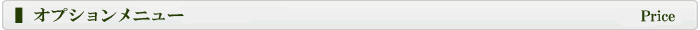 オプションメニュー